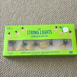 ✨Moving Sale✨ Pineapple LED String Lights 5.4ft